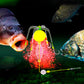 💯Limited Time Half Price-Four Hook Anti-tangle Fishing Kit