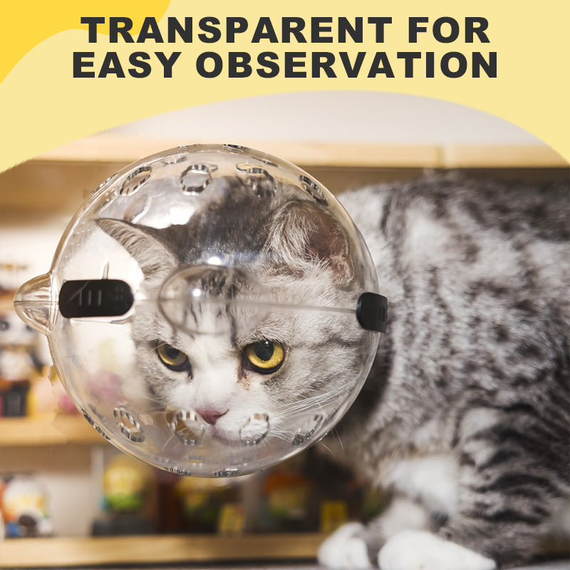 😼Transparent & Breathable Cat Ball Mask😺