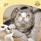 😼Transparent & Breathable Cat Ball Mask😺