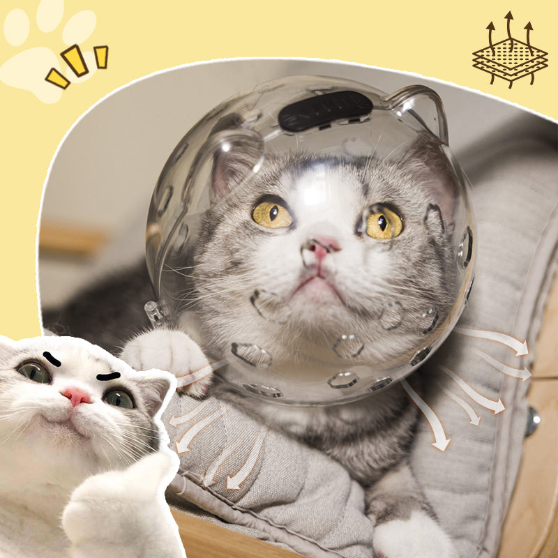 😼Transparent & Breathable Cat Ball Mask😺