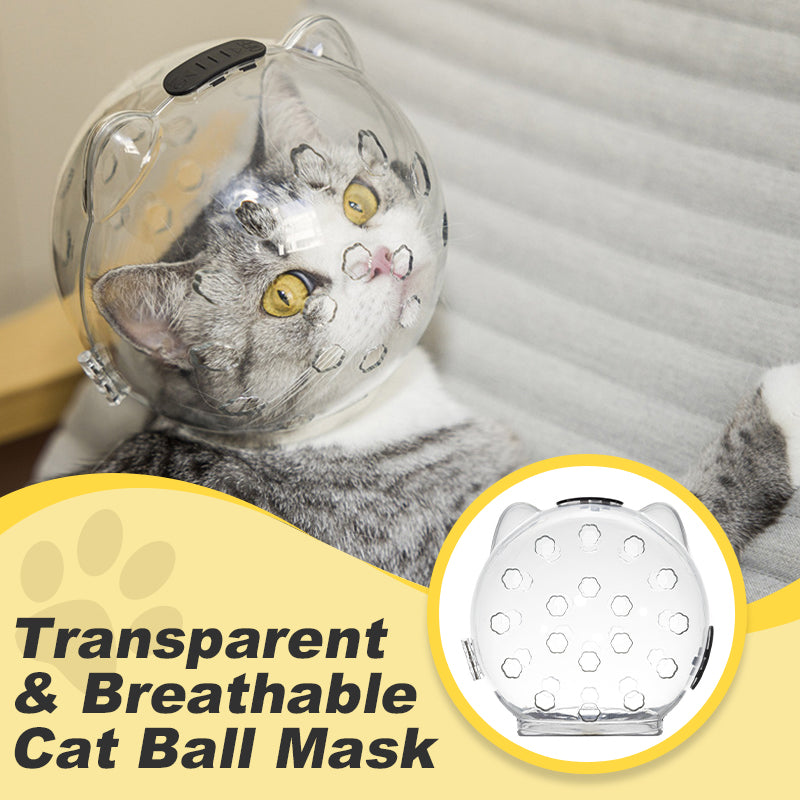 😼Transparent & Breathable Cat Ball Mask😺