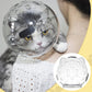 😼Transparent & Breathable Cat Ball Mask😺
