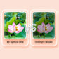 ✨See the Unseen✨Focus Free 8x20 mini binoculars for adults children