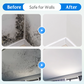 Mold and Mildew Stain Remover Spray