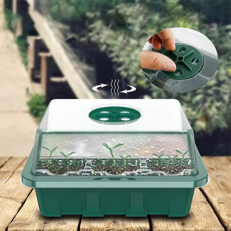 💎50% OFF! 💎 Grow Trays with Grow Light – Humidity Control, Transparent, and Full-Spectrum Light 🌱💡