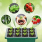 💎50% OFF! 💎 Grow Trays with Grow Light – Humidity Control, Transparent, and Full-Spectrum Light 🌱💡