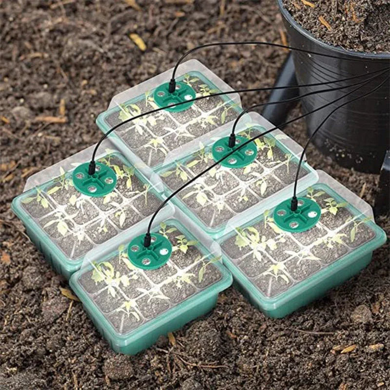 💎50% OFF! 💎 Grow Trays with Grow Light – Humidity Control, Transparent, and Full-Spectrum Light 🌱💡