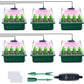 💎50% OFF! 💎 Grow Trays with Grow Light – Humidity Control, Transparent, and Full-Spectrum Light 🌱💡