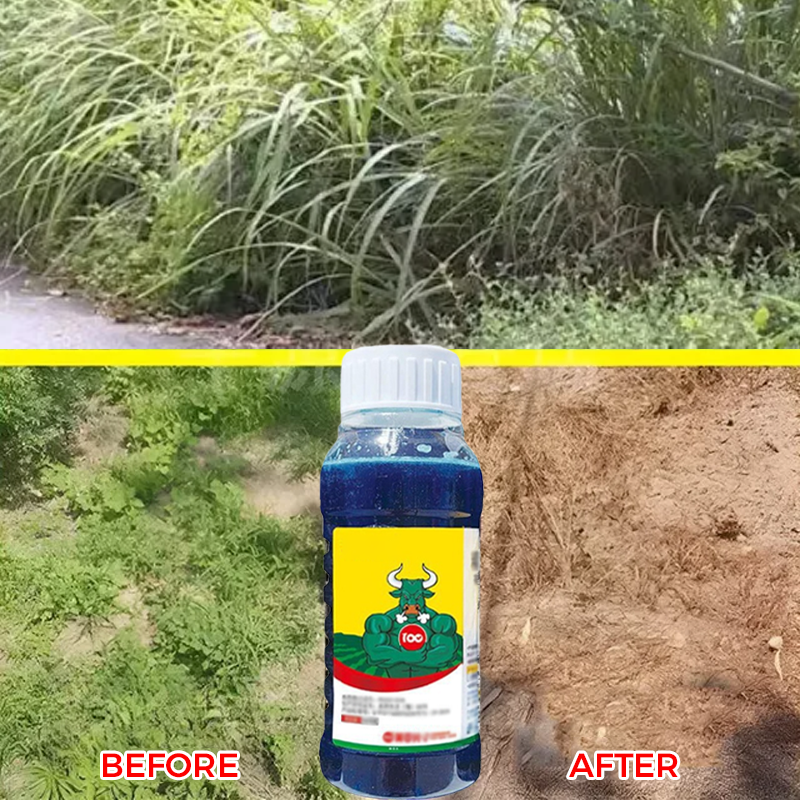 🌿 Weed Annihilator Pro 💀 - Total Root Destruction in 24 Hours! ⏳✨