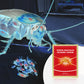 Powerful Roach Killer for Indoor & Outdoor
