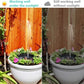 K🥳2026 HOT SALE🥳💞50% OFF!✨ 💝Compact Solar Bird Fountain Pump – Keep Your Garden Alive! 🐦️