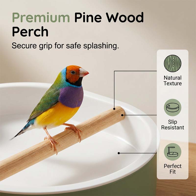 🐦 LIMITED-TIME 50% OFF! 🚿 Electric Bird Bath with Rain Shower & Perch – Safe, Quiet Pump for Happy Birds 🛀