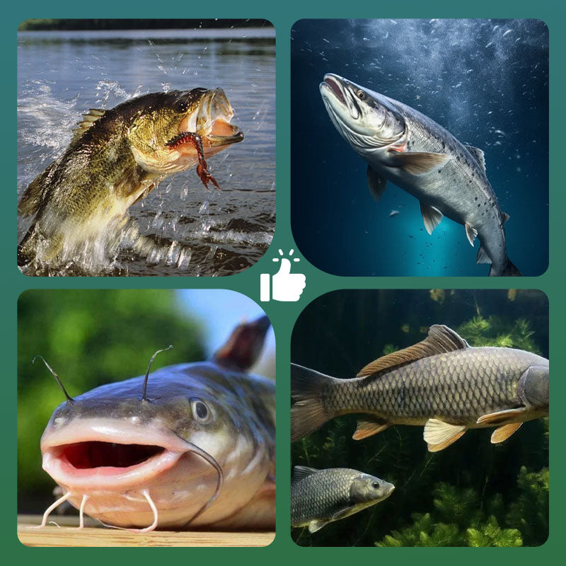 🎣 High Buoyancy Floating Ball Fishing Hook – Floats Naturally, Bites Instantly! 🐟💧 Keeps bait at the perfect depth – more strikes, less waiting. 🔴⚡