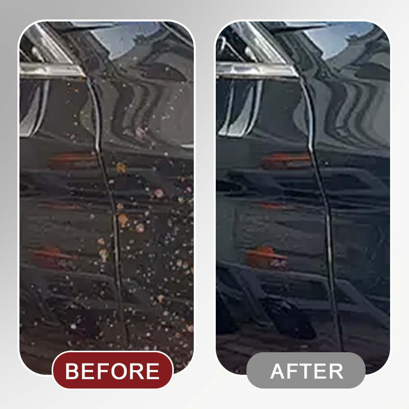 Powerful Insect & Bug Remover for Car