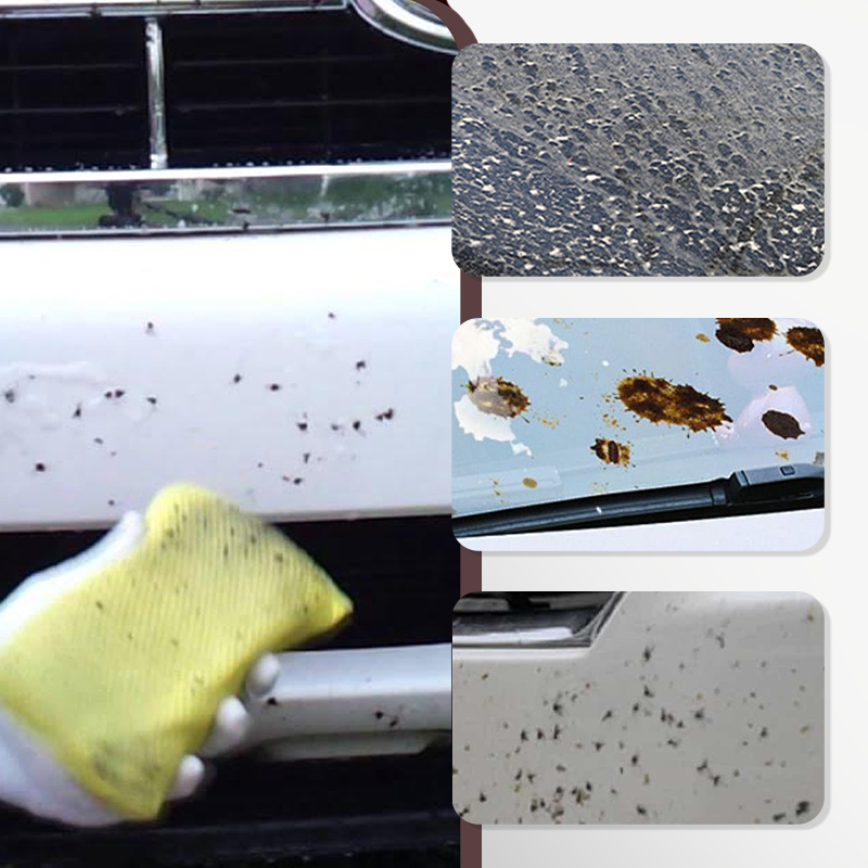 Powerful Insect & Bug Remover for Car