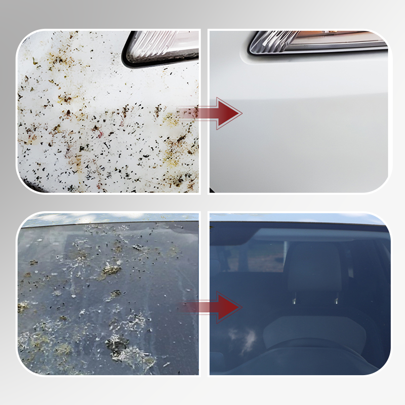 Powerful Insect & Bug Remover for Car
