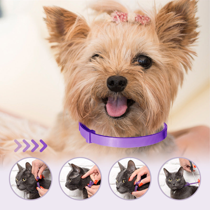 🔥2024 New products🔥Adjustable Mosquito and Insecticide Collar for Cats and Dogs