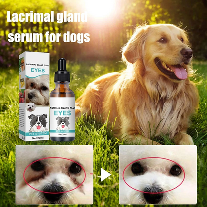 🐱🐶Pet Eye Cleaner & Drops – Gentle pH‑balanced formula, safe for dogs & cats. Soothes redness, removes tear stains & daily dirt. No peroxide! 🌿💧