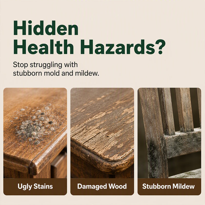 Multi-Surface Wood Furniture Mold Remover Spray
