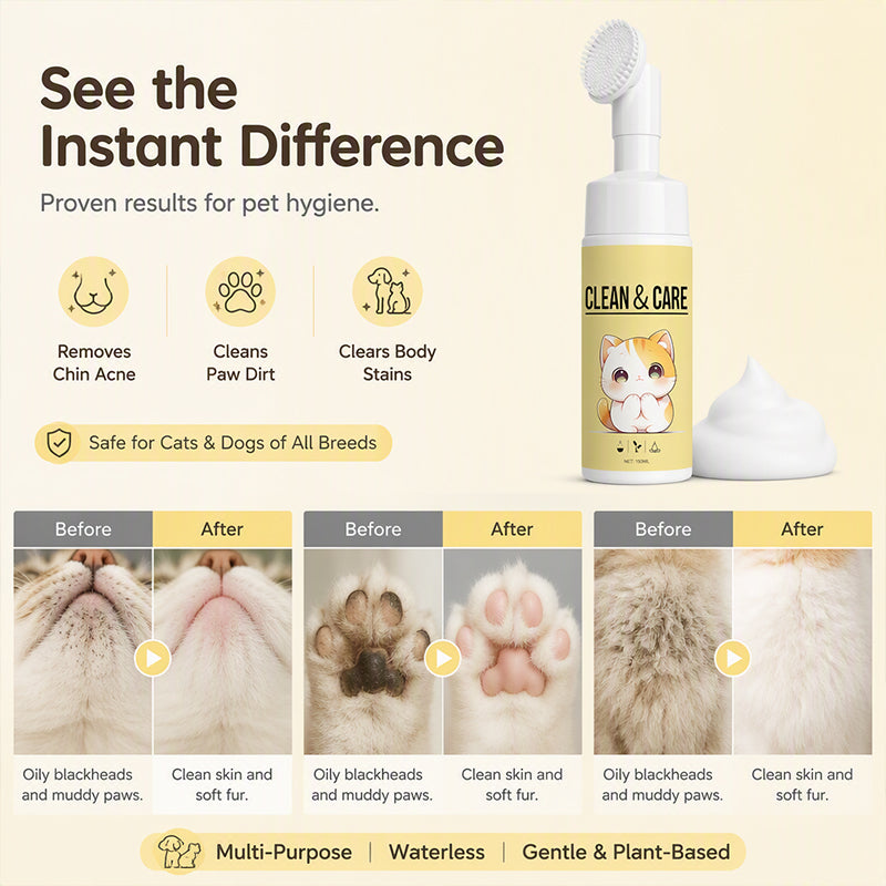 🔥Hot Sale 50% OFF🔥 Gentle Waterless Pet Chin Cleaner Foam – No Rinse,  for Cats & Dogs 🐾