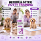🥳HOT SALE🥳💞10K+ SOLD!⏰Potty Training Spray ! Guides pets, safe & easy spray. Cleaner home – grab yours! ✅