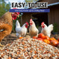 Probiotic & Enzyme Feed Additive