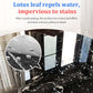 Stone Nanocrystal Coating