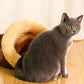 [Best Gift For Pet] Enclosed Plush Lined Warm Cat & Dog Sleeping Bag