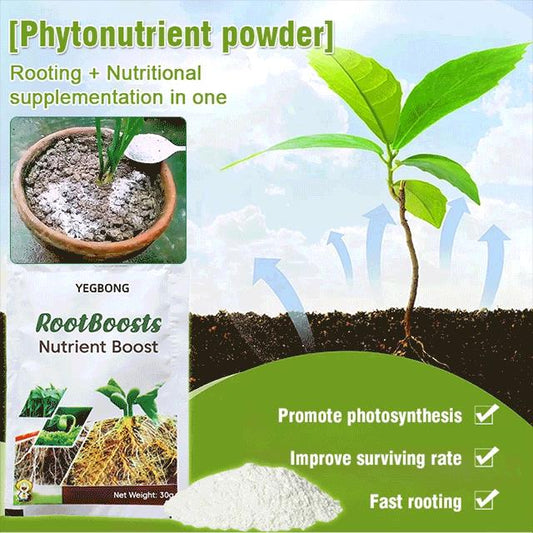 ✨Plant Hair Root Growth Nutrition Powder (Buy 3 Get 2 Free)